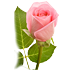 Cadeau virtuel