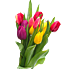 Cadeau virtuel