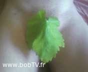 name