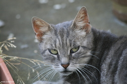 name