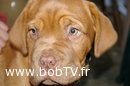 name