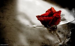 name
