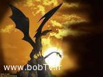 name