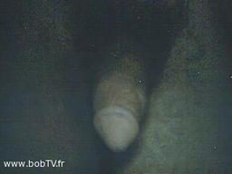 name