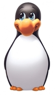 name