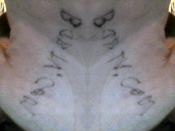 name
