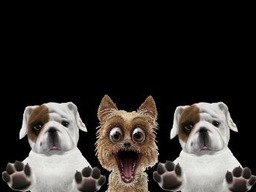 name