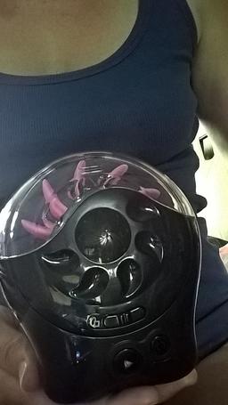 SQWEEL 2, Simulateur de Cunnilingus