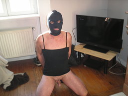 La lope attend les males