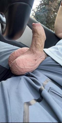 ma queue bien épaisse et mes grosse couilles