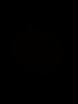 Clip vidéo live